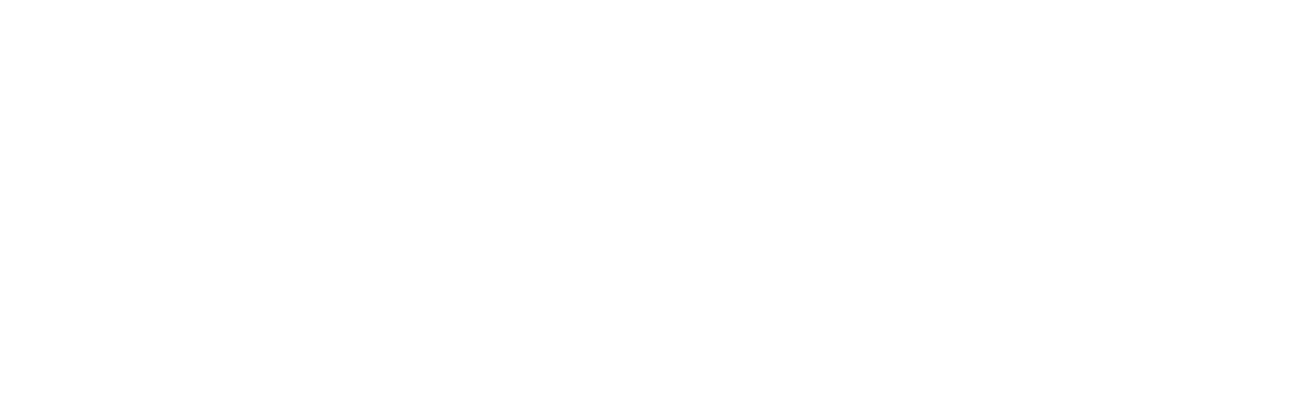 Logo PNG - NEXUS Branding Branco